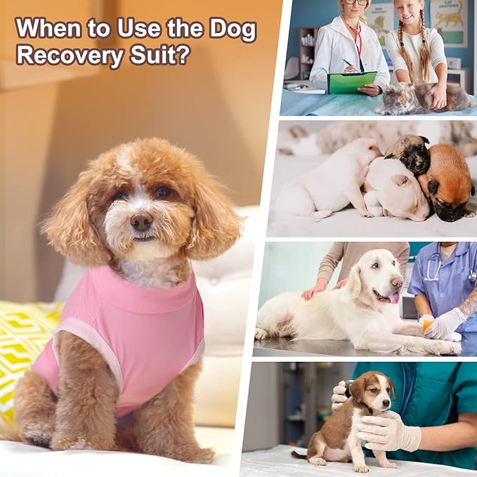 SAWMONG 2 Pack Recovery Suit for Dogs After Surgery, Dog Recovery Suit Soft Polyester, Pet Spay Surgical Suit Female Male, Dog Onesie Body Suit Substitute E-Collar Cone,L