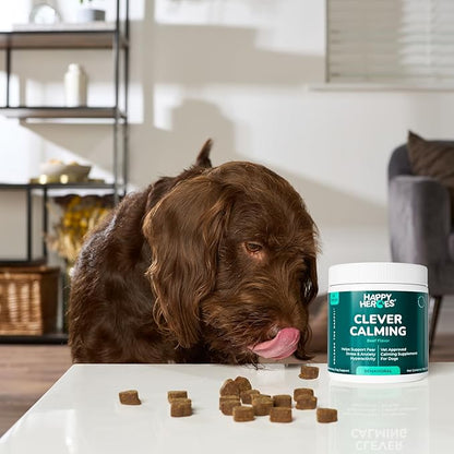 Clever Calming Chews for Dogs, 100% Natural Dog Supplement, For Anxiety Relief, Helps Stress, Fear, Hyperactivity, Reactivity, Beef Flavor Calming Dog Treats, Made in USA, 60 Soft Chews