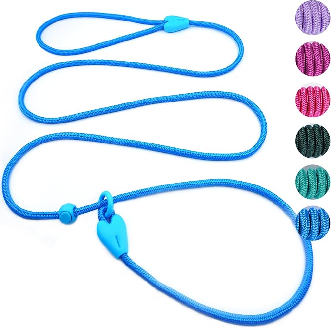 Slip Lead No Pull Dog Leash Slip Leads for Dogs Puppy Leash 5FT Slip Leash for Dogs Dog Lead with 6 Colors Strong Nylon Dog Training Leash Dog Leash (Blue)