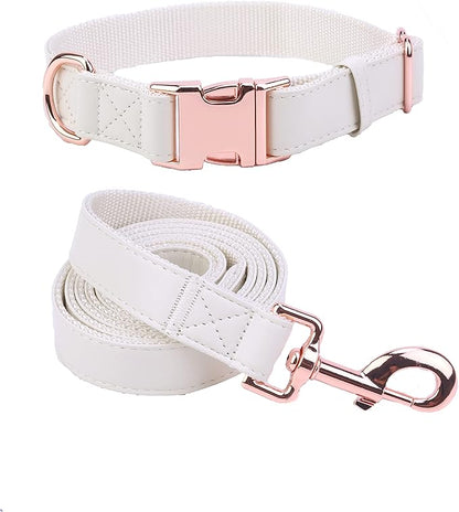 Dog Collar and Leash Set.Soft and Easy to Clean Vegan Leather with Rose Gold Metal Buckle for Small Medium Large Dogs (Off-White, M(13.8"-19.7"))
