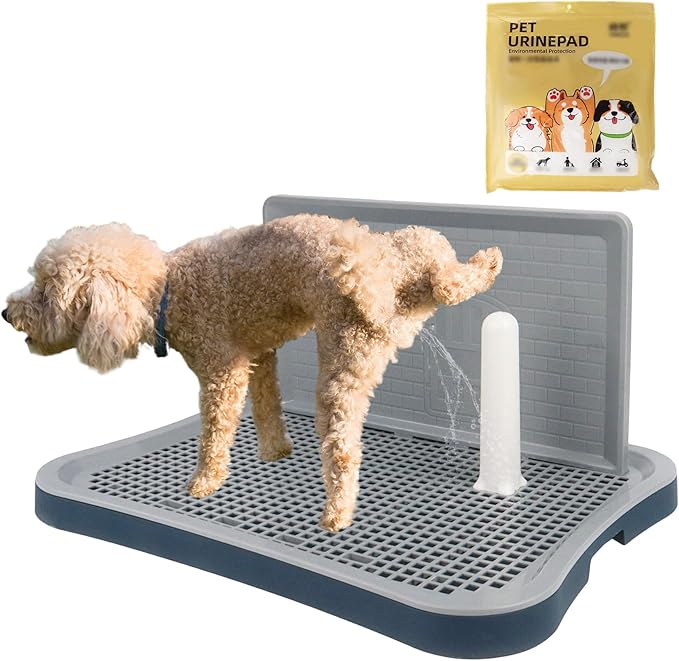 Dog Pee Pad Holder with Pee Pads, 20.1"x15.6"X1.4" Indoor Dog Potty Pad with Splash Guard for Puppy and Small Dogs, Housebreaking Supplies, Pet Products (Blue)