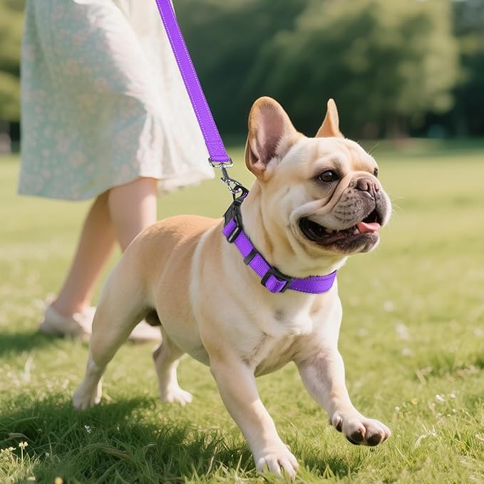 Joytale Reflective Dog Collar,Soft Neoprene Padded Breathable Nylon Pet Collar Adjustable for Small Dogs,Purple,S