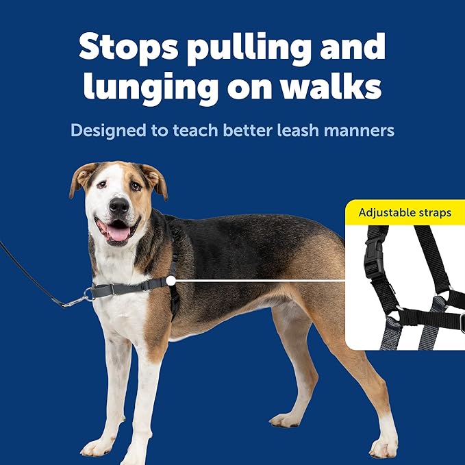 PetSafe Easy Walk Harness for Dogs - Pull-Free Walks - Patented Martingale Loop Design - Front Chest Leash Attachment - Comfort Straps - Breathable Harness Design - X-Large, Charcoal/Black