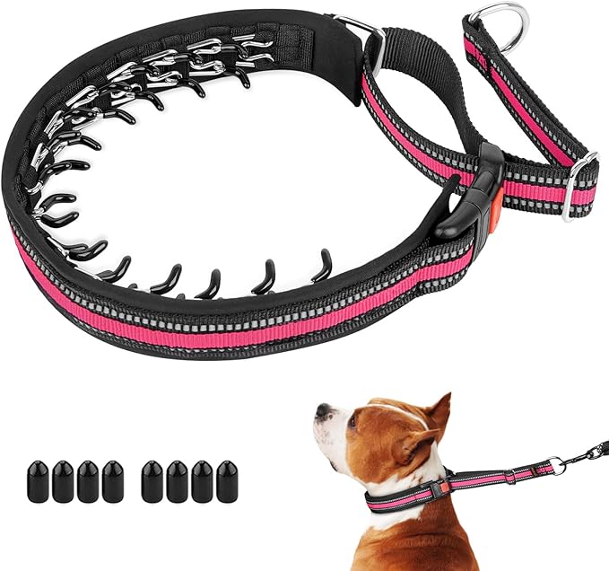 Mayerzon Martingale Collar for Dogs, No Pull Dog Collar with Reflective Strip for Small Medium Large Dogs, Anti Pulling Dog Collar with Buckle for Walking Training, Safe for Night Walk(Pink, S)