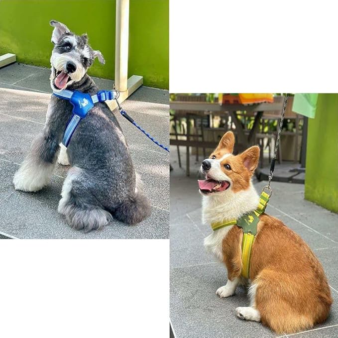 Reflective Dog Harness and Leash Set Designed for Collie, Anti-Pull Adjustable Pet Harness and Leash Yellow L