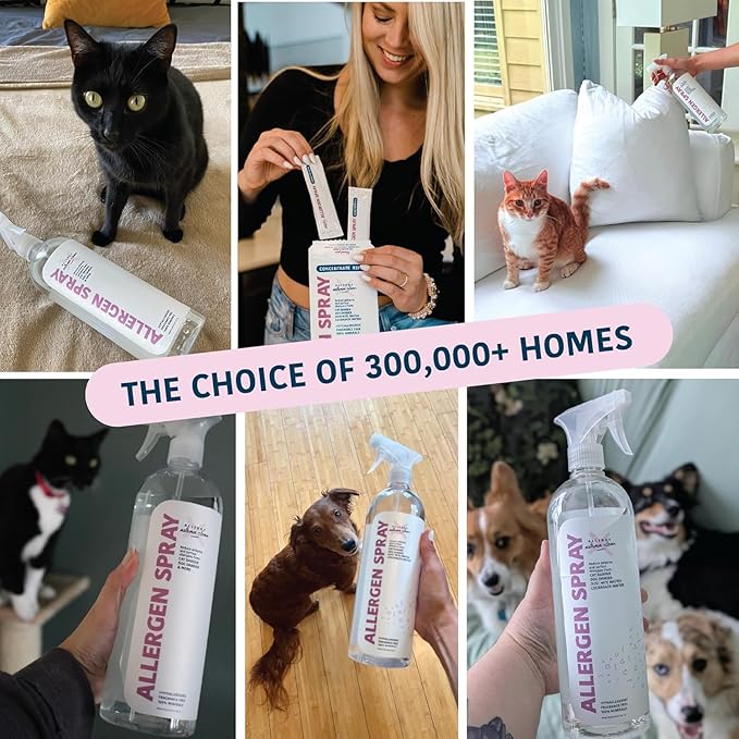 Allergy Asthma Clean Allergen Spray, Pets, Dust Allergies & More, Air & Surface, Just Add Water, Bottle with One Refill, Over 64oz Total