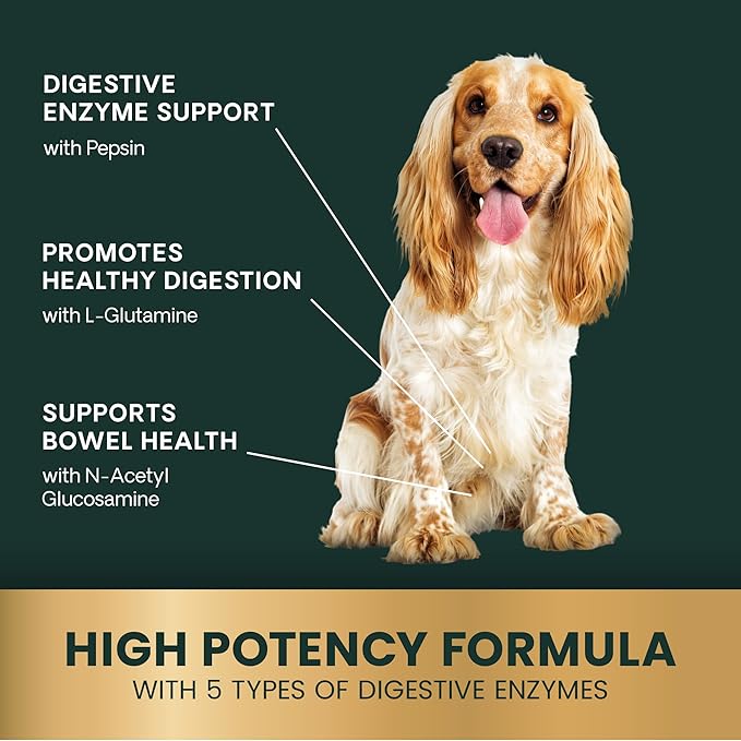 VetriScience Extra Strength Healthy Gut & Digestion Chewable Tablets, Probiotic BD Digestive Enzyme Supplement for Dogs, Soothe Gut and Bowel Discomfort, Chicken, 120 Count