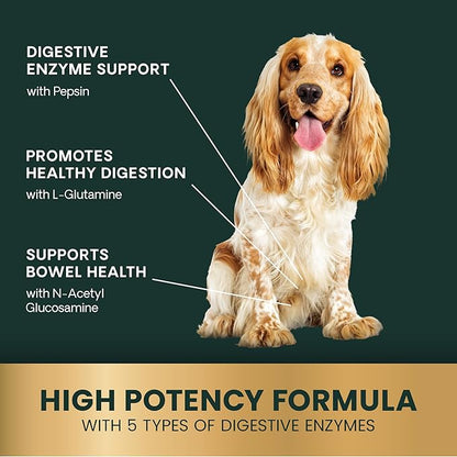 VetriScience Extra Strength Healthy Gut & Digestion Chewable Tablets, Probiotic BD Digestive Enzyme Supplement for Dogs, Soothe Gut and Bowel Discomfort, Chicken, 120 Count