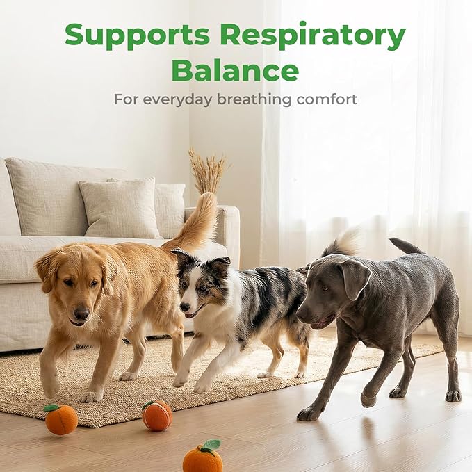 Dog Cough Relief - Collapsed Trachea Treatment for Dogs - Throat Calm Herbal Drops with Slippery Elm & Mullein - Trachea Supplement for Coughing & Airway Comfort