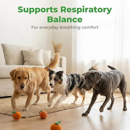 Dog Cough Relief - Collapsed Trachea Treatment for Dogs - Throat Calm Herbal Drops with Slippery Elm & Mullein - Trachea Supplement for Coughing & Airway Comfort
