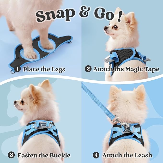 rabbitgoo Dog Harness Small Sized and Leash Set, Step-in Breathable Pet Harness, Soft Walking Reflective Puppy Vest for Small Dogs, Black & Light Blue, M