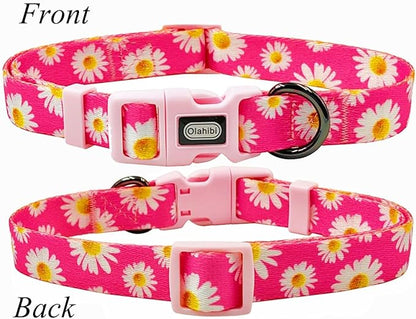 Dog Collar and Leash Set, Cute Pink Daisy Pattern, Polyester Material, 5ft Leash, for Medium Dogs.(M, Daisy Set)