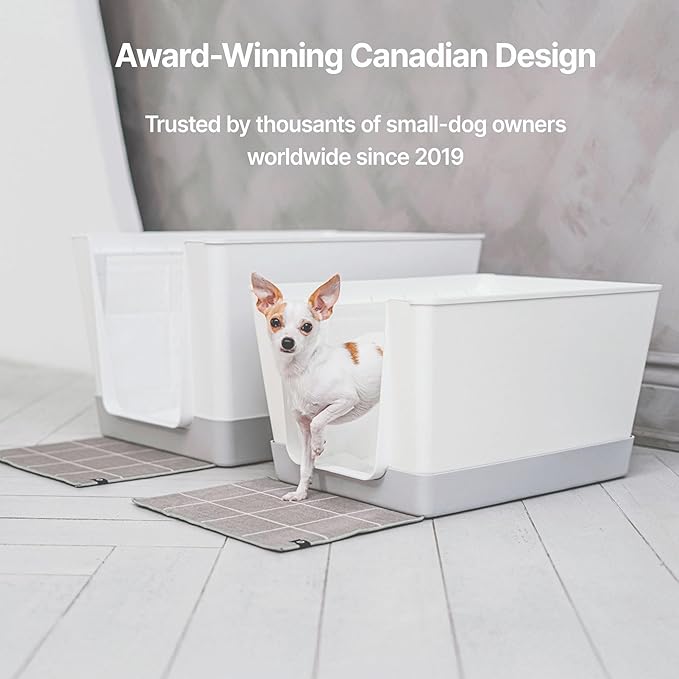 Indoor Dog Potty with High Walls and Low Entry for Small Dogs — Vertical Pad Holder, Splash Guard, and Clean Modern Design by DoggyBathroom (Regular, Light Grey)