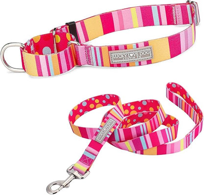 Lucky Love Dog Martingale Dog Collar & Leash - Adjustable, No-Slip, Durable, Comfortable, Soft Webbing, & Stylish Patterned Collar & Leash Set for Male and Female Dogs - Molly Combo, Medium