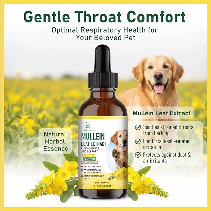 Mullein Lung Support Drops for Dogs & Cats, Relieves Kennel & Dry & Wet Cough, Lung Cleanse, Soothes Sore Throat, Eases Breathing - Pure Plant Extract, Hormone & Chemical Free, with Chlorophyll