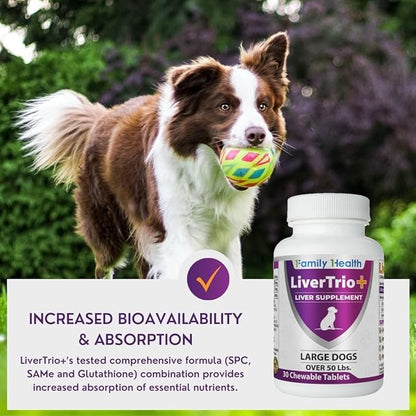 Comprehensive Liver Support Supplement for Large Dogs. Flavorful Chewable Tablets Combining Same, SPC, Silybin A+B, + Glutathione 30Ct (Large)