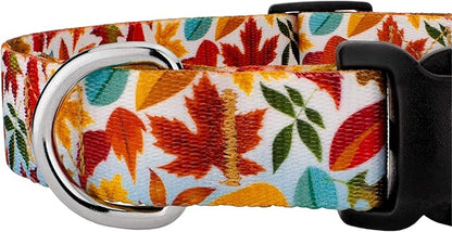 Country Brook Petz - Brisk Autumn Everyday Dog Collar and Leash - Awesome Autumn Collection Featuring Designs You Will Fall for (1 Inch, Extra Large)