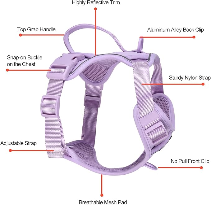 Petmolico Dog Harness for Small Dogs, Cute Harness Vest with Two Leash Clips and Soft Handle, Reflective Easy Walk Puppy Vest - Light Purple, Small
