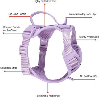 Petmolico Dog Harness for Small Dogs, Cute Harness Vest with Two Leash Clips and Soft Handle, Reflective Easy Walk Puppy Vest - Light Purple, Small
