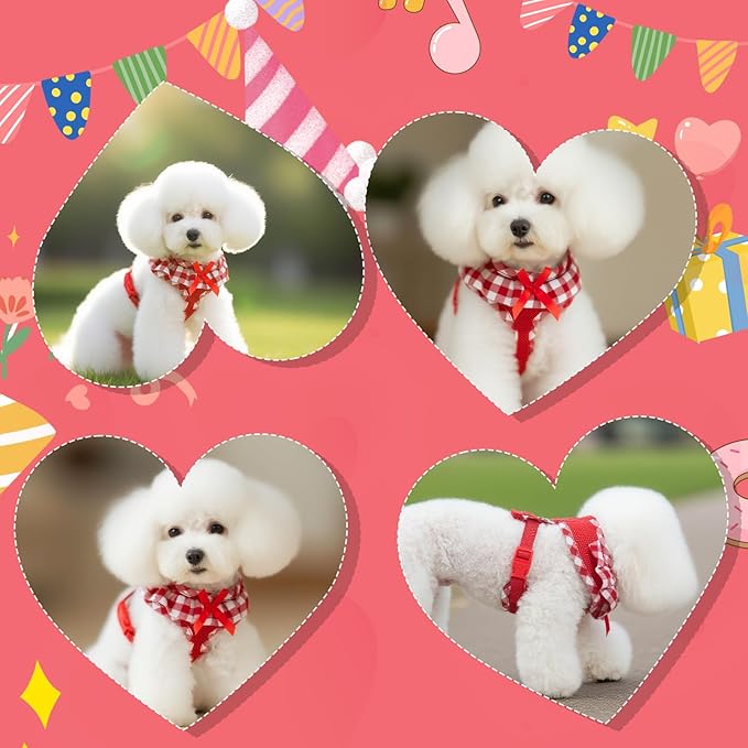 EXPAWLORER Cute Dog Harness Collar Leash Set - Red Girl Dog Harness Checkered Step-in Design, Detachable Bow Pet Collar, Adjustable No-Choke Lightweight Mesh Vest for Cats Puppy Small Dogs, XS