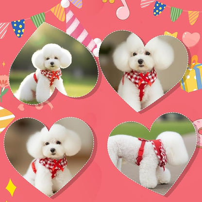 EXPAWLORER Cute Dog Harness and Leash Set - Red Girl Dog Harness Checkered Step-in Design, Easy Adjustable No-Choke Lightweight Breathable Vest for Puppy Small Dogs Cats Outdoor Walking, Small