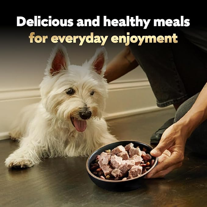 CESAR Adult Wet Dog Food Classic Loaf in Sauce Breakfast and Dinner Mealtime Variety Pack, 3.5 oz. Easy Peel Trays, Pack of 12
