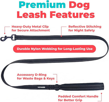 Best Pet Supplies Voyager Reflective Dog Leash or Collar with Neoprene Handle, for Small, Medium, and Large Breed Puppies, Cute and Heavy Duty for Walking, Running and Training - Black (Leash), L