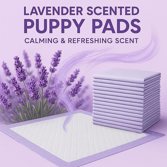 CLEAN SPACES Lavender Scented Puppy Pads Extra Large, Super Absorbent Disposable Pee Pads for Dogs That Neutralize Odor, Wee Wee Pads / Potty Training Pads 28"x34" 50 Count