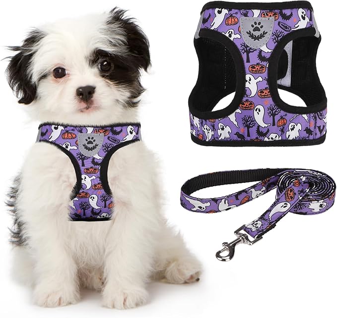 KOOLTAIL Halloween Dog Harness and Leash Set for Small Medium Dogs, Step in No Pull Soft Mesh Harness Comfort Padded Pet Vest, Adjustable Reflective Easy Walking Puppy Cats Harness Training, Ghost S