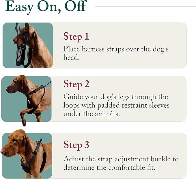 Sporn No Pull Dog Harness, Durable Nylon Mesh Harness for Small Dogs, No Choke Design, Padded Restraint Sleeves, Adjustable Fit, Easy On/Off, XS for Extra Small Breeds, Black