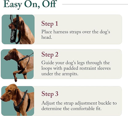 Sporn No Pull Dog Harness, Durable Nylon Mesh Harness for Medium Dogs, No Choke Design, Padded Restraint Sleeves, Adjustable Fit, Easy On/Off, Ideal for Medium Breeds, Blue