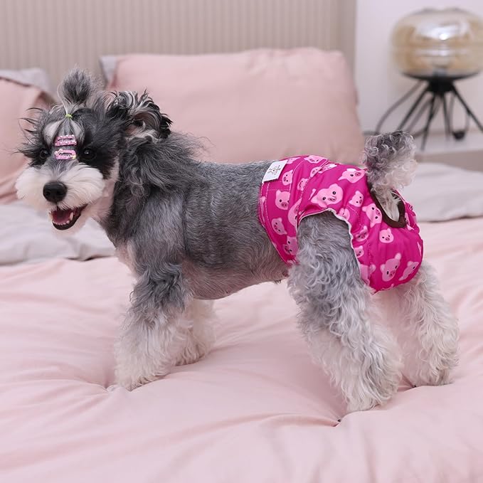 CuteBone Dog Diapers Female Washable Small Medium Large 3 Pack Reusable Doggie Diapers Puppy Period Pants for Doggy Heat Cycle Peeing D31L