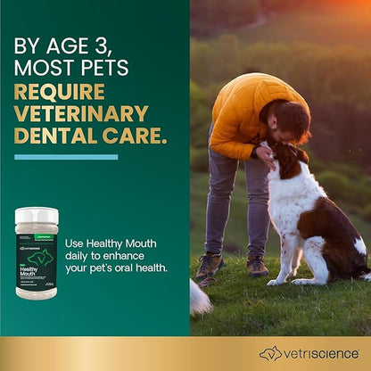 VetriScience Healthy Mouth Dog Dental Powder, 2 Pack – Helps Reduce Plaque & Tartar Buildup, Support Clean Teeth & Fresh Breath, Vet-Formulated Oral Care Powder for Dogs & Cats, 2 x 4.2 oz