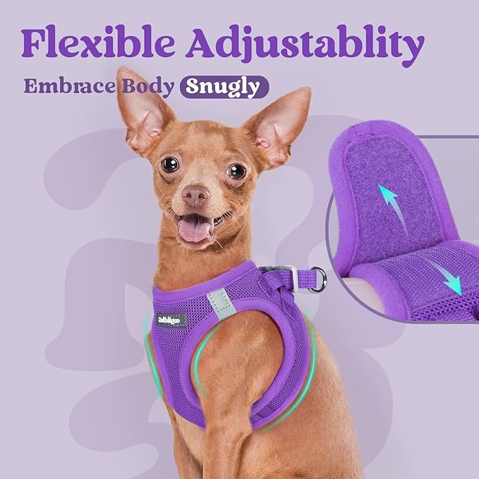 rabbitgoo Small Dog Harness, Step-in Soft Mesh Puppy Vest with Safety Buckle, Breathable Reflective Pet Harness for Extra Small Dogs, Purple XXS
