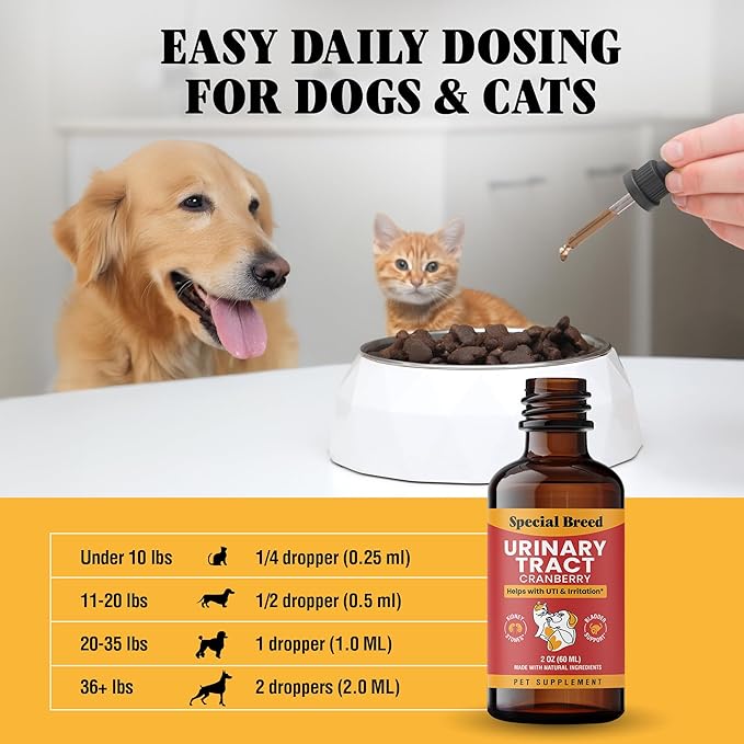 Cat & Dog Urinary Tract Infection Treatment – Natural UTI Relief with Cranberry Drops – Kidney & Bladder Support – Helps Incontinence, Frequent Urination, Bladder Stones – Pet Renal Care Drops