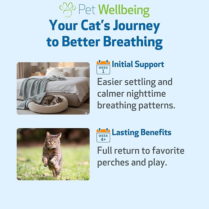 Pet Wellbeing Respir-Gold for Cats - Supports Healthy Breathing, Open Airways, Respiratory Support, Black Cumin, Horehound, Grindelia - Veterinarian-Formulated 4 fl oz (118 ml)