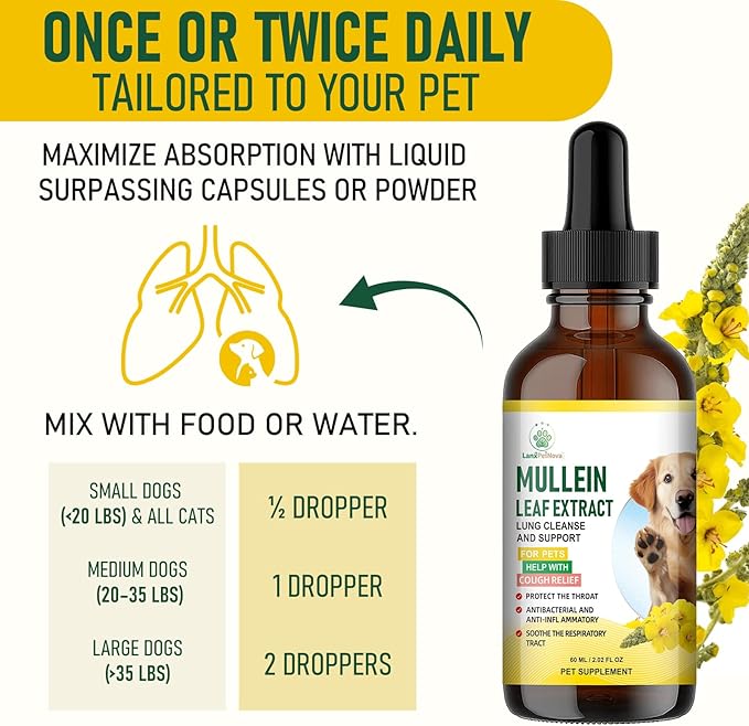 Mullein Lung Support Drops for Dogs & Cats, Relieves Kennel & Dry & Wet Cough, Lung Cleanse, Soothes Sore Throat, Eases Breathing - Pure Plant Extract, Hormone & Chemical Free, with Chlorophyll