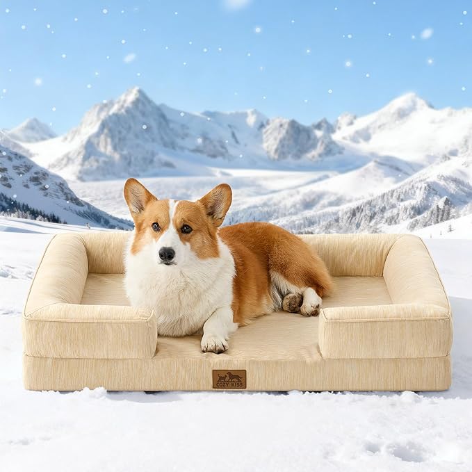 Cooling Dog Bed for Large Medium Size Dogs, Q-Max >0.4 Summer Cool Orthopedic Foam Pet Sofa Bed with Sides, Bolster Anti-Slip Couch with Washable Removable Cover, L 36x27x6.5 inch, Beige