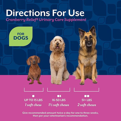 NaturVet – Cranberry Relief Plus Echinacea – Helps Support a Healthy Urinary Tract & Immune System – 120 Soft Chews