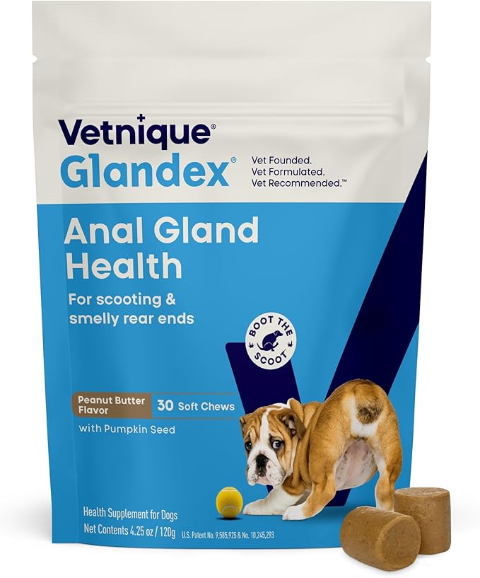 Vetnique Glandex Anal Gland Soft Chew Treats with Pumpkin for Dogs Digestive Enzymes, Probiotics Fiber Supplement for Dogs Boot the Scoot (30ct, Peanut Butter Chews)