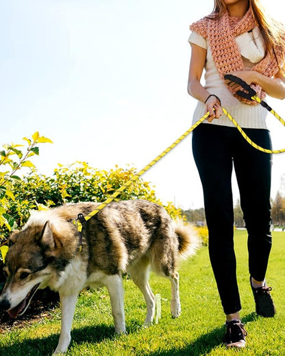 TagME 6ft Slip Dog Lead, No Pull Reflective Training Leash with Padded Handle, Professional Rope P-Leash for Small Medium Large Dogs, Heavy Duty Correction Lead for Walking & Training (Yellow)