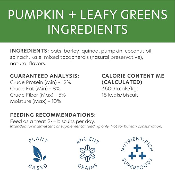 Body and Soul Pumpkin + Leafy Greens Crunchy Premium Healthy Training Dog Treat Superfood Oven Baked Biscuits Oats, Barley & Quinoa Clean Natural Plant Protein, No Additives No Filler Made in USA 10oz