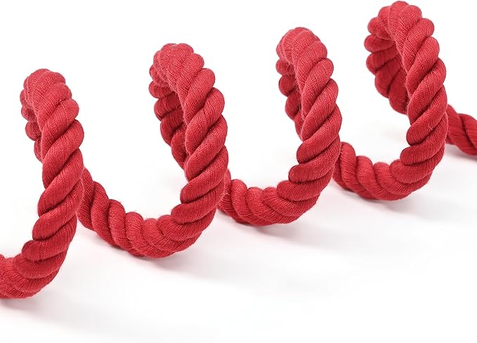 Mile High Life Braided Cotton Rope Dog Leash with Leather Tip - 6 Feet with Heavy Duty Metal Clasp - Wedding Dog Leash (Red, 72 Inches)
