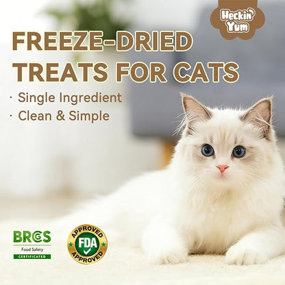 Freeze-Dried Salmon Cat Treats for Skin & Coat Health, 4oz, Single Ingredient High Protein Reward Snacks for Pets, Grain & Gluten Free