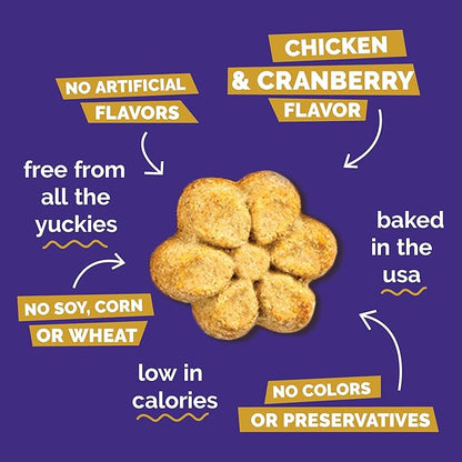 Fruitables Baked Dog Treats, Healthy Pumpkin Treat for Dogs, Low Calorie & Delicious, Made Without Wheat, Corn and Soy, Made in The USA, Allergy Friendly, Chicken and Cranberry Flavor, 20 oz