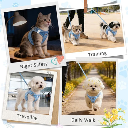 Gyuzh Dog Harness and Leash Set for Puppies - 3 Pieces Step in No Pull Vest & Collar, Extra Small Kitten Harness, Breathable Reflective Plaid, Padded Leash (Blue, S)