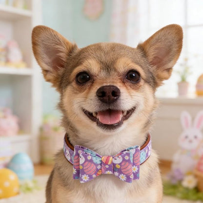 EXPAWLORER Easter Dog Collar and Leash Set - Egg Bunny Pattern Bow Tie & Bandana Embroidery Holiday Pet Collars with Bell, Soft Tangle Free Leash for Dogs Cats Outdoor Walking, Small