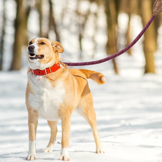 Mile High Life Rope Leash with Genuine Leather Connection, 6 FT/5 FT/4 FT, Heavy Duty Leash for Medium & Large Dogs (Hot Pink, 60 Inch)