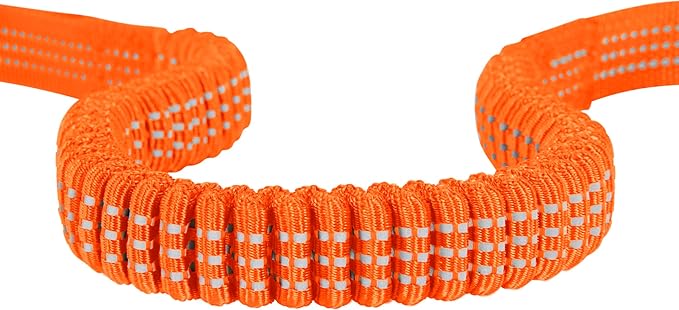 Carhartt Pet Durable Nylon Webbing Shock Absorbing Leash for Dogs, Reflective Stitching for Visibility, Hunter Orange, Large