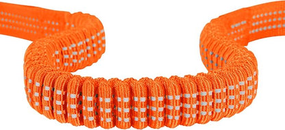 Carhartt Pet Durable Nylon Webbing Shock Absorbing Leash for Dogs, Reflective Stitching for Visibility, Hunter Orange, Large